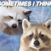 Tô