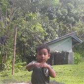 Cu