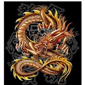 Nư