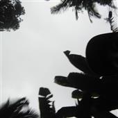 Bộ