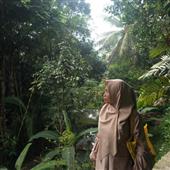 gi