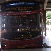 Dự