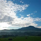 Dò