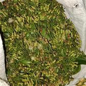 Sự