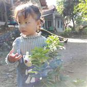 Đu