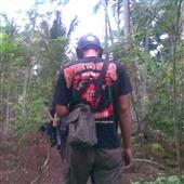Gi