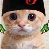 Cá