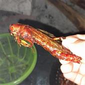 Đị