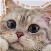 Po