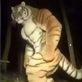 Tu