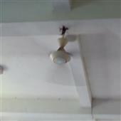 Đu