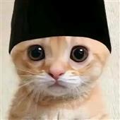 Be