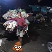 xứ