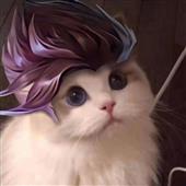 Vò