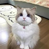 Be