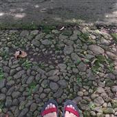 Rồ