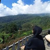 số
