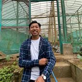 Kế