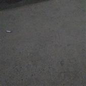 Si