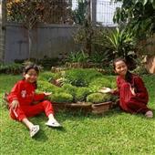 Bầ