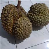 ki