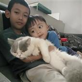 Lị