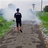 Lị