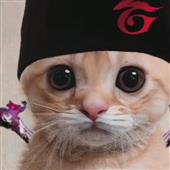 Cu