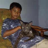 Vậ