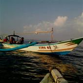 Sứ