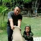 Đế