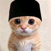 Qu