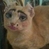 Ki