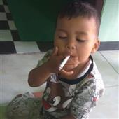 Gi
