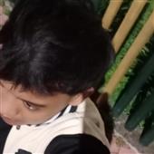 Gi