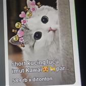 【B
