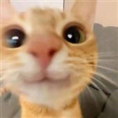 Cá