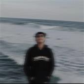 Si