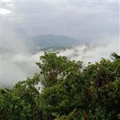 Đề