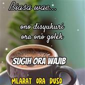 Qu