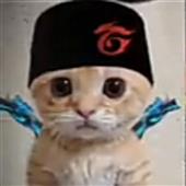 C-