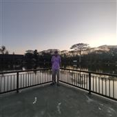 Lo
