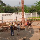 Dự