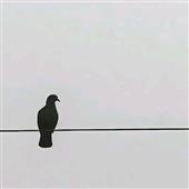 Sa