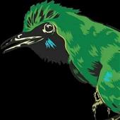 Vò