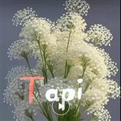 Đá