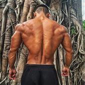 Bl