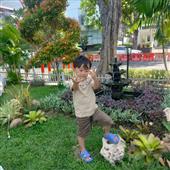 Tự