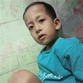 Tự
