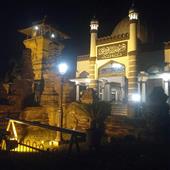 Đồ
